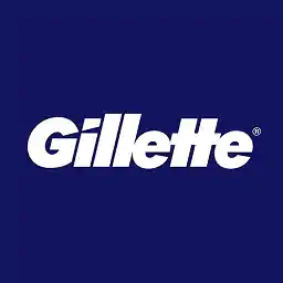 Gillette India Ltd logo