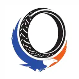 TVS Srichakra Ltd logo