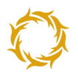 Sanathnagar Enterprises Ltd logo