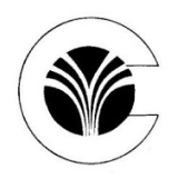 CLIO Infotech Ltd logo