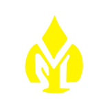 Vijay Solvex Ltd logo
