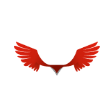 Kati patang Lifestyle Ltd logo