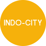Indo-City Infotech Ltd logo