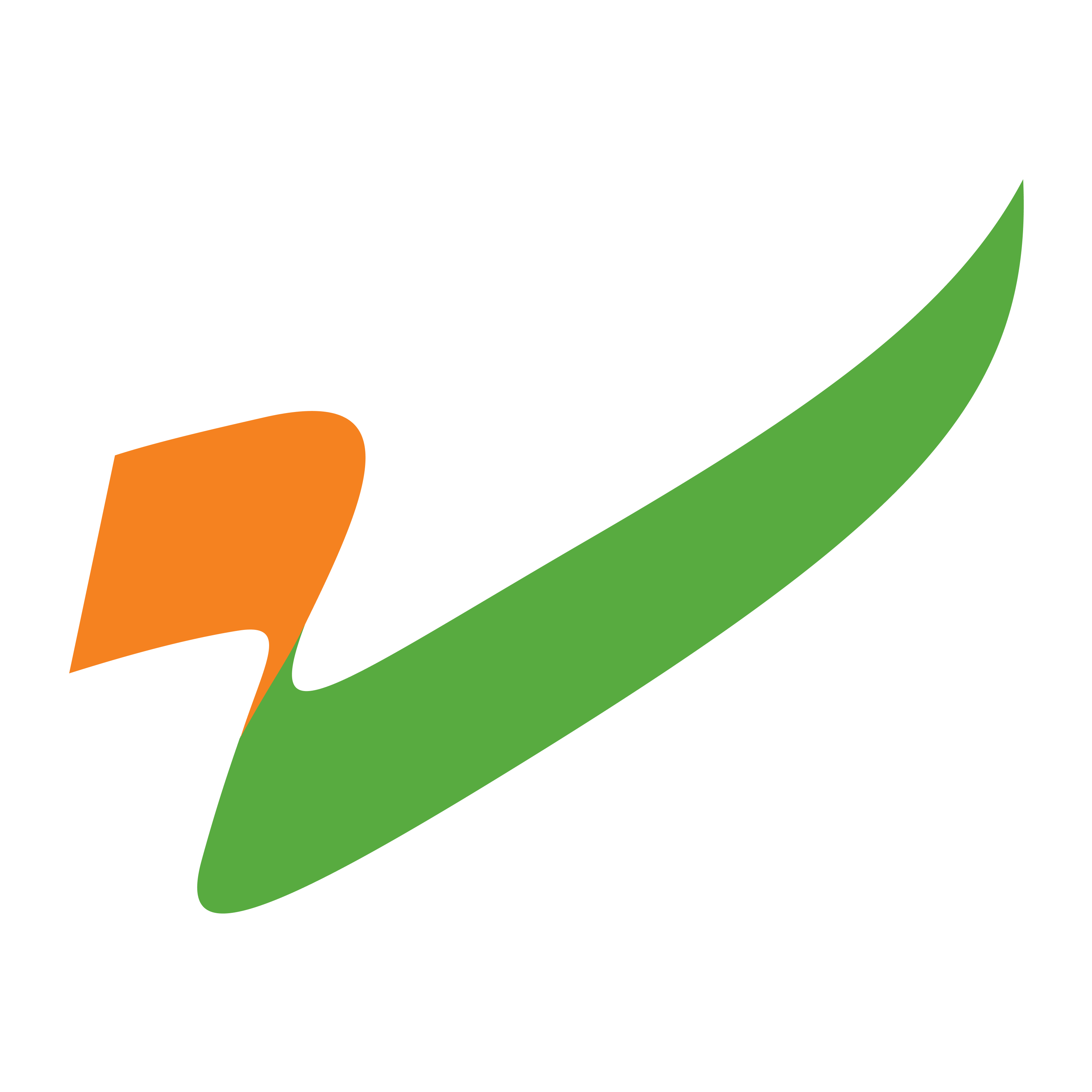 Jindal Steel Ltd logo