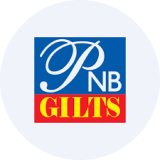 PNB Gilts Ltd logo