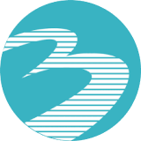 Bannari Amman Spinning Mills Ltd logo