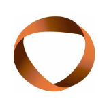 Viji Finance Ltd logo