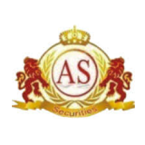 Amarnath Securities Ltd logo