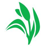 Dhunseri Tea & Industries Ltd logo