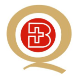 Bharat Parenterals Ltd logo