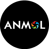 Anmol India Ltd logo