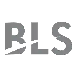 BLS E-Services Ltd logo