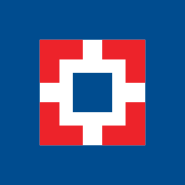 HDB Financial Services Ltd logo