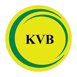 Karur Vysya Bank Ltd logo